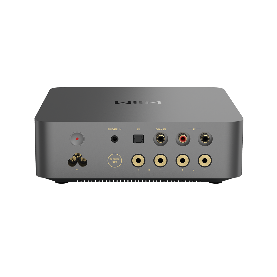WiiM Vibelink Amp