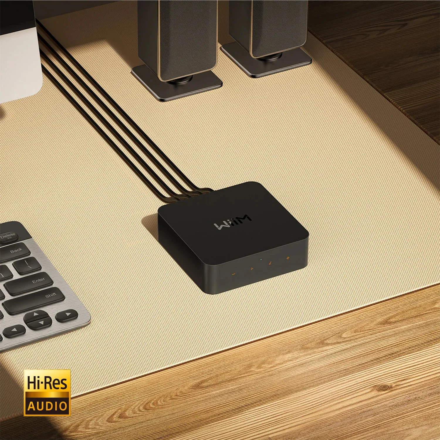 Wiim Pro Audio Streamer Hi Res